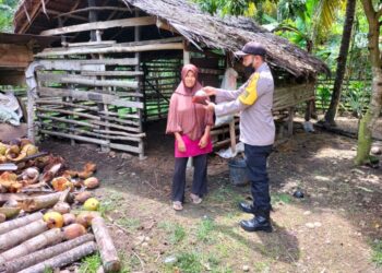 Cegah Meluasnya PMK, Polsek Syamtalira Bayu Distribusikan Eco Enzyme