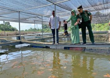 Dandim Tinjau Budidaya Ikan Air Tawar Metode Keramba Jaring Apung Di Langkahan