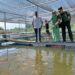 Dandim Tinjau Budidaya Ikan Air Tawar Metode Keramba Jaring Apung Di Langkahan