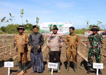 Kapolda Aceh Inisiasi Penanaman 77 Ribu Pohon, Polres Aceh Utara Tanam Pohon di Lapang