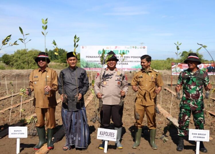 Kapolda Aceh Inisiasi Penanaman 77 Ribu Pohon, Polres Aceh Utara Tanam Pohon di Lapang