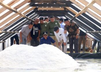 Panen Perdana, Industri Garam Rakyat di Seunuddon Mampu Produksi 4,5 Ton