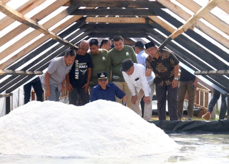 Panen Perdana, Industri Garam Rakyat di Seunuddon Mampu Produksi 4,5 Ton
