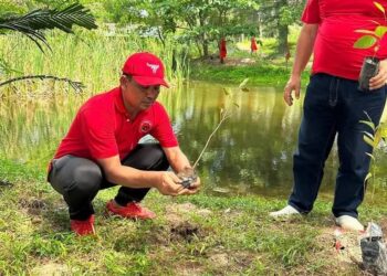 Peringati HUT ke-50, PDIP Aceh Bersihkan Pantai Lhoknga dan Tanam Pohon Vegetasi Endemik