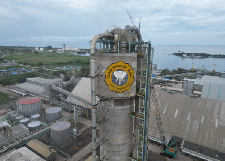 Terkait Permintaan Association Pemuda Daerah, Begini Tanggapan PT PIM