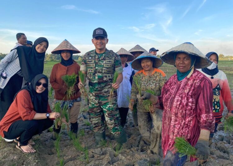 Berlumur Lumpur, Dandim Aceh Utara Turun ke Sawah Bantu Petani Tanam Padi