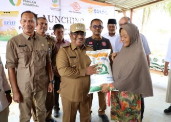 Pj Bupati Aceh Utara Serahkan Bantuan Beras Cadangan 718,400 Ton