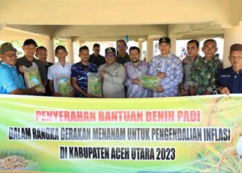 Pemkab Aceh Utara Salurkan Bantuan Benih 58 Ton untuk Delapan Kecamatan