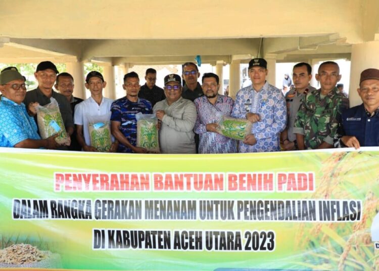 Pemkab Aceh Utara Salurkan Bantuan Benih 58 Ton untuk Delapan Kecamatan