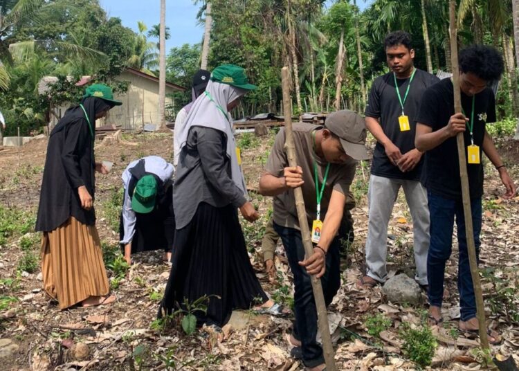 Mahasiswa KKN-PPM Unimal Tanam Jagung di Sawang