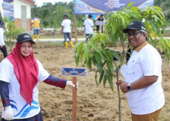 Pj Bupati Aceh Utara Tanam Pohon di Area Green Belt Bendungan Keureuto
