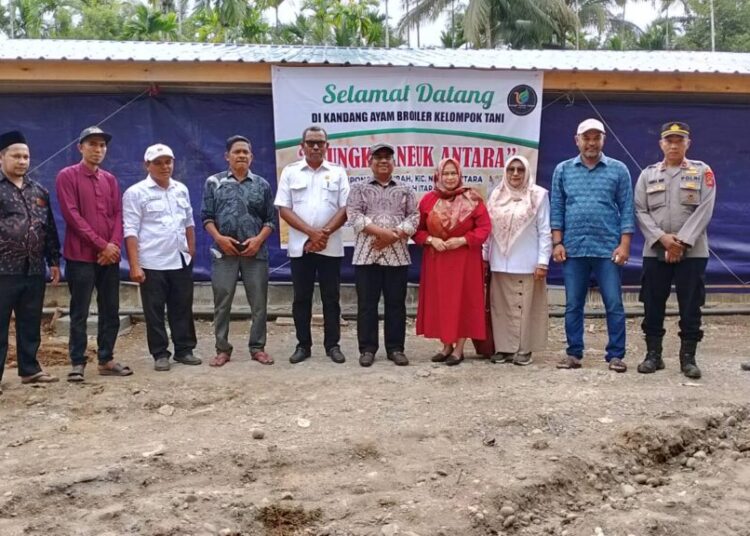 Tinjau Peternakan Ayam Broiler di Nisam Antara, Pj Bupati: Upaya Antisipasi Inflasi