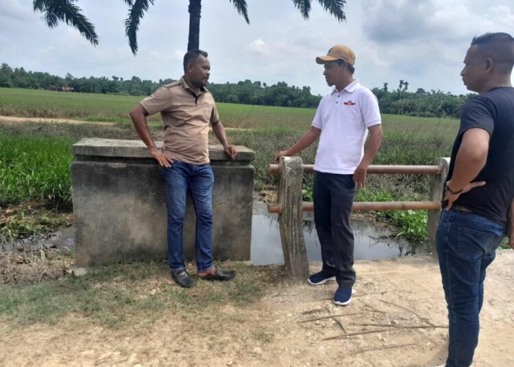 Terima Laporan Warga Dampak Pasca Banjir, Jol Panton Sambangi Pucok Alue