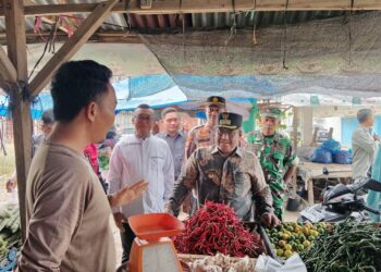 Monitoring Persediaan Bahan Pokok, Pj Bupati Aceh Utara Sapa Pedagang Pasar Krueng Geukueh
