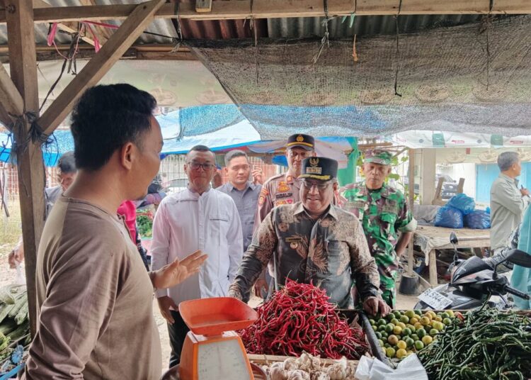 Monitoring Persediaan Bahan Pokok, Pj Bupati Aceh Utara Sapa Pedagang Pasar Krueng Geukueh