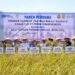 Dukung Ketahanan Pangan Nasional, PT PIM Panen Padi Perdana di Aceh Utara