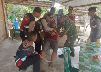 Tim Gabungan dari Satuan Samapta Polres Aceh Utara bersama Polsek dan Koramil Tanah Luas mengamankan seorang pria yang dilaporkan sebagai ODGJ di Kecamatan Tanah Luas