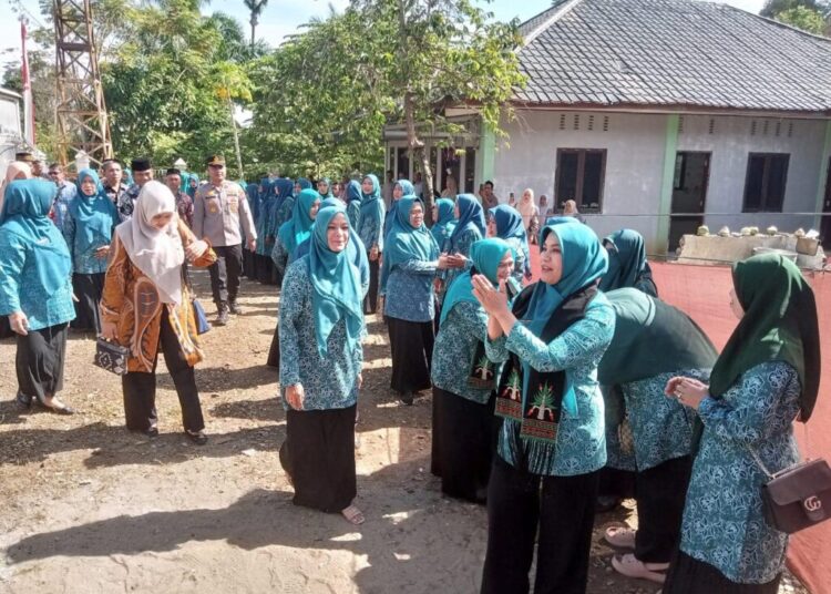 Ny Safriati Safrizal SSi MSi