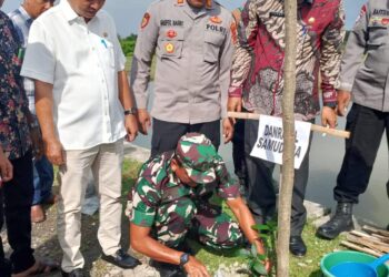 Aksi penghijauan di kompleks makam Sultan Malikussaleh dan Monumen Islam Samudera Pasai, Gampong Beuringen, Kecamatan Samudera, Aceh Utara. Foto: IST