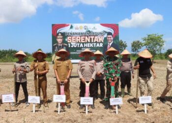Polres Aceh Utara tanam jagung serentak