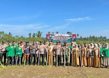 Mahasiswa KKN PPM Unimal turut serta dalam program Penanaman Jagung Serentak 1 Juta Hektare di Gampong Keutapang, Kecamatan Syamtalira Aron, Aceh Utara. Foto: For Infoacehutara.com