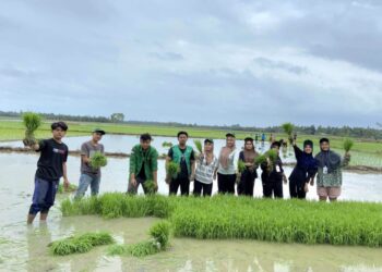 KKN PPM Universitas Malikussaleh Tahun 2025