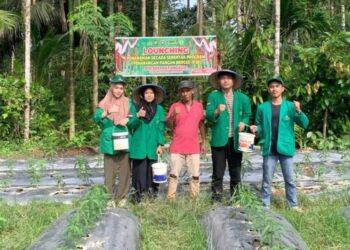 KKN PPM Universitas Malikussaleh Tahun 2025 di Aceh Utara