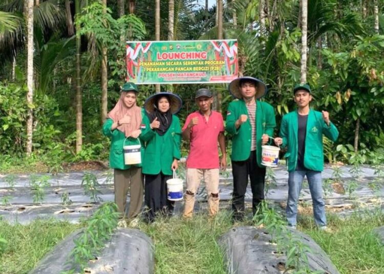 KKN PPM Universitas Malikussaleh Tahun 2025 di Aceh Utara