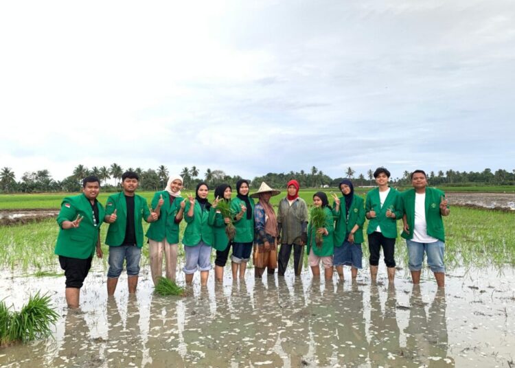 KKN PPM Universitas Malikussaleh Tahun 2025 di Aceh Utara
