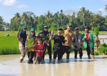 KKN PPM Universitas Malikussaleh Tahun 2025 di Aceh Utara