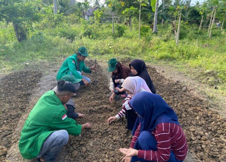 KKN PPM Universitas Malikussaleh Tahun 2025 di Aceh Utara