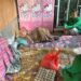 Cetus Program Peduli Lansia, Kelompok 42 KKN Unimal Salurkan Sembako kepada Warga Berusia Lanjut di Gampong Langa