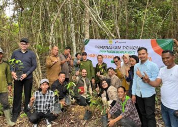 penanaman pohon durian