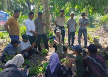 Makam tokoh asal Iran di Aceh Utara
