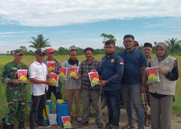 Dinas Pertanian Kabupaten Aceh Utara bersama petugas POPT menggelar gerakan pengendalian hama wereng batang cokelat (WBC) di Desa Alue Drien, Kecamatan Cot Girek