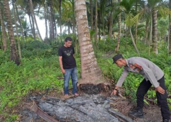 Petugas kepolisian dari Polsek Seunuddon melakukan olah tempat kejadian perkara (TKP)