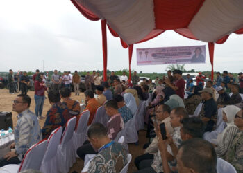 Wamen Diktisaintek, Prof. Stella Christie, meninjau langsung rencana lokasi pembangunan SMA Unggul Garuda di Aceh Utara