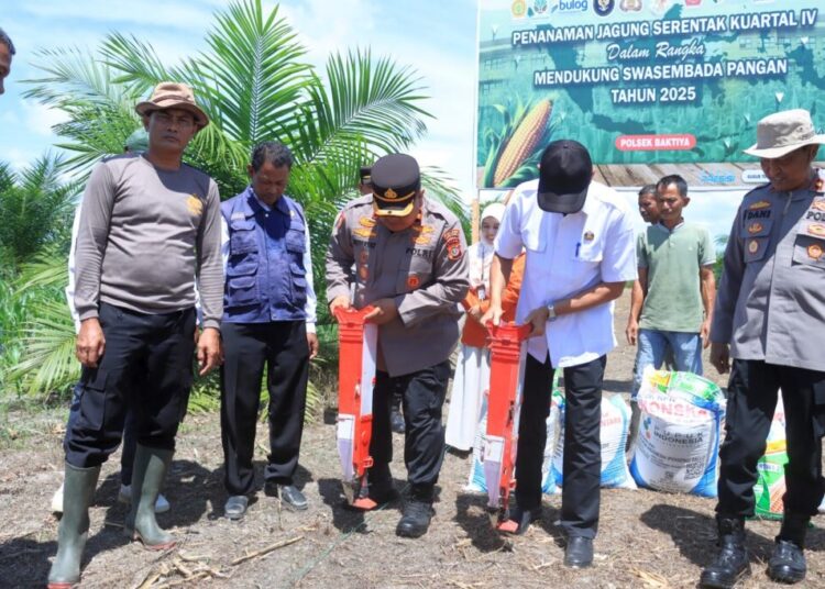 Wakapolres Aceh Utara Kompol Muhayat Effendie bersama Forkopimda dan masyarakat menanam jagung di lahan seluas enam hektare di Gampong Buket Dara Baro, Kecamatan Baktiya, Rabu (8/10/2025)