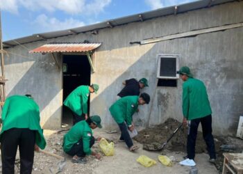 Mahasiswa KKN Unimal Kelompok 4 Relawan Teknik Industri bergotong royong membenahi Polindes Desa Pulo Seukee, Kecamatan Baktiya, Aceh Utara