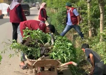 Mahasiswa KKN Unimal Kelompok 09 melakukan gotong royong besar-besaran di Dusun Teungoh, Gampong Keude Bungkaih, Kecamatan Muara Batu, Aceh Utara