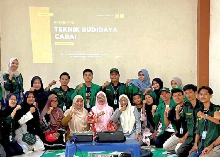 Mahasiswa KKN-PPM Kelompok 36 Unimal menggelar edukasi budidaya cabai bersama pengelola BUMDes dan masyarakat Gampong Tambon Baroh, Kecamatan Dewantara