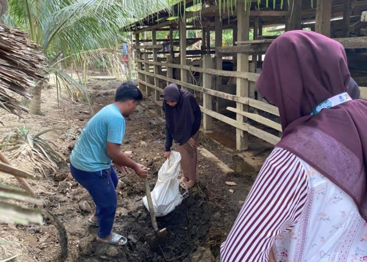 Ubah Limbah jadi Rupiah, Intip Aksi Mahasiswa UIN SUNA Olah Pupuk Organik di Baktiya