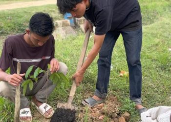 Manfaatkan Pupuk Organik Buatan Sendiri, Mahasiswa KPM UIN SUNA Hijaukan Cot Ara Pascabanjir