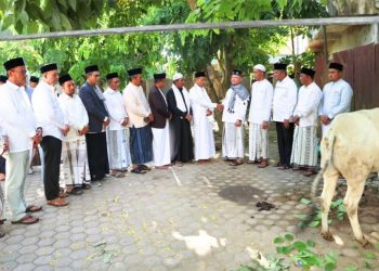 Bupati Aceh Utara Ismail A. Jalil didampingi Wabup Tarmizi Panyang menyerahkan sapi kurban kepada BKM Masjid Agung Baiturrahim, Lhoksukon