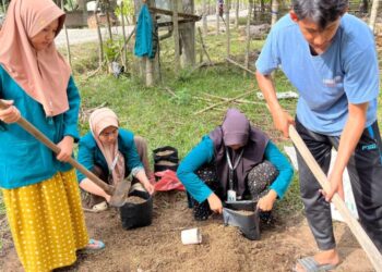 Mahasiswa UIN SUNA Lhokseumawe mempraktikkan pembuatan pupuk KOMPAS (KOMPos dAri Sampah) organik bersama warga Desa Kuala Keureuto, Kecamatan Lapang, Aceh Utara