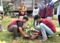 Mahasiswa Kelompok 52 KKN Universitas Malikussaleh melakukan penanaman pohon di area Meunasah Gampong Meuria, Kuta Makmur, Aceh Utara