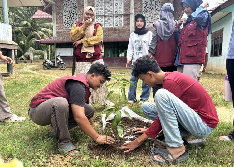 Mahasiswa Kelompok 52 KKN Universitas Malikussaleh melakukan penanaman pohon di area Meunasah Gampong Meuria, Kuta Makmur, Aceh Utara