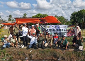 Kelompok Kenduri binaan PHE NSO saat menggelar panen perdana budidaya kepiting di Gampong Teupin Kuyun, Kecamatan Seunuddon, Aceh Utara